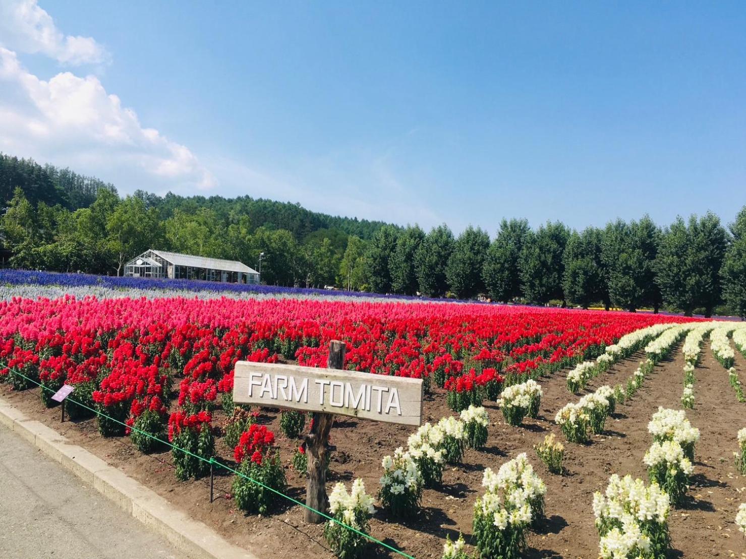 Adagio Hokkaido Affittacamere