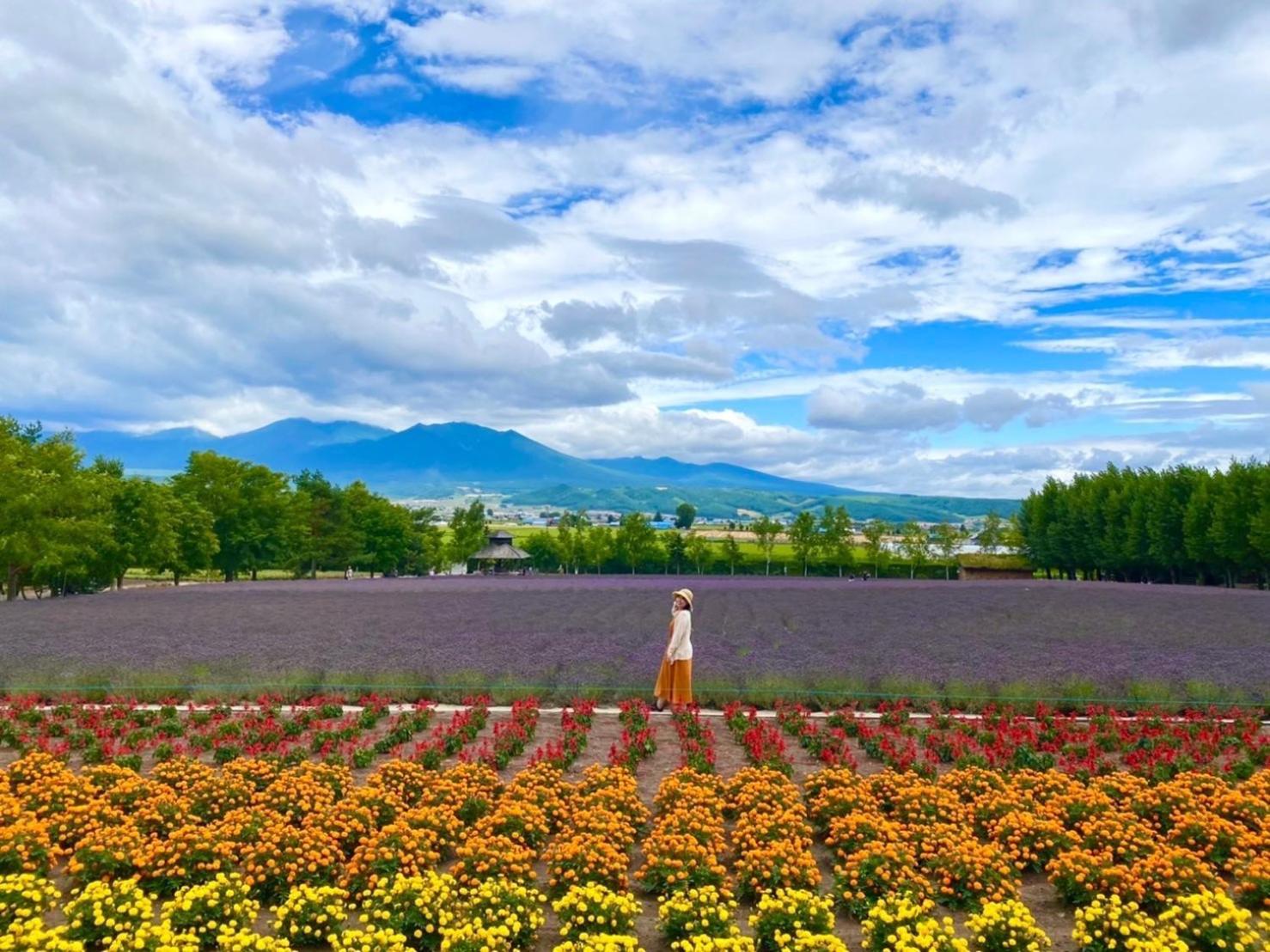 Adagio Hokkaido บ้านพัก 2*