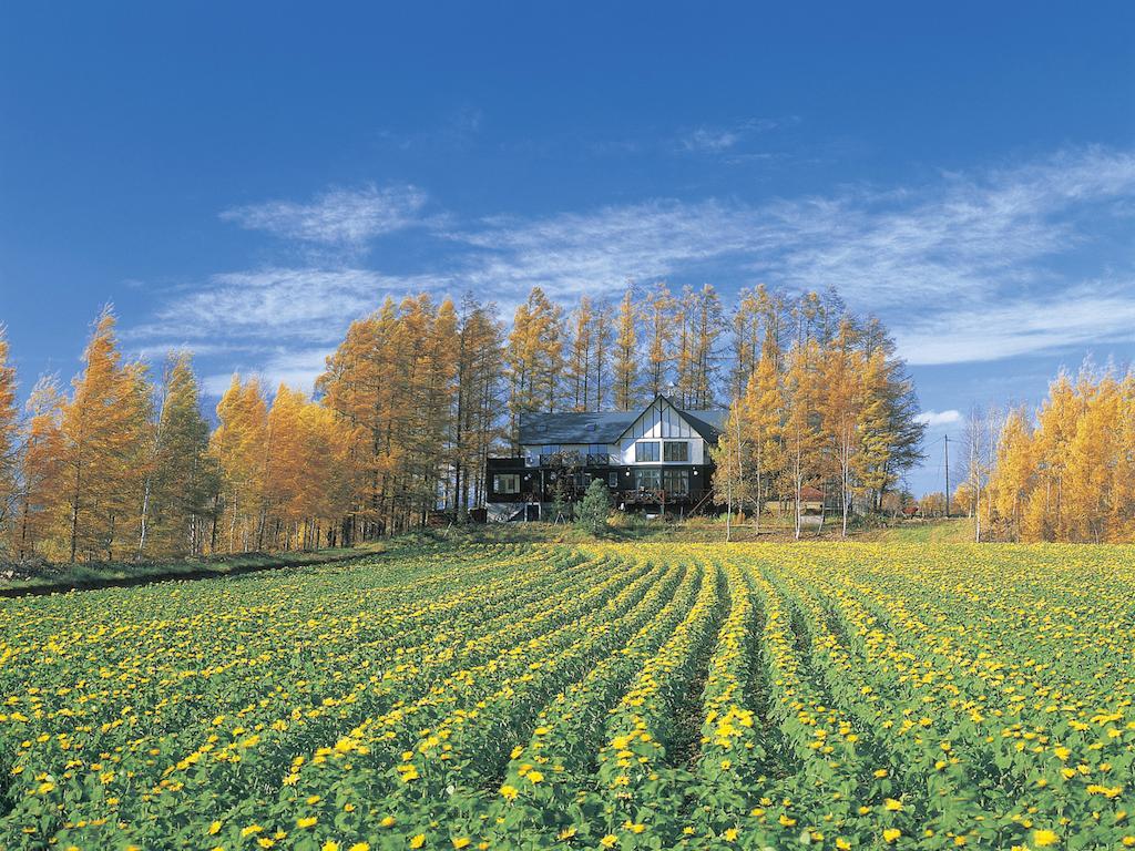 Adagio Hokkaido บ้านพัก บิเอะ